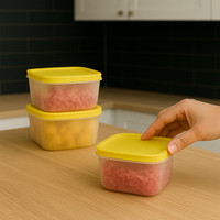 Kit com 13 Potes Herméticos com Tampas Antivazamento, Resistentes ao Freezer e ao Micro-ondas [Últimas Unidades]
